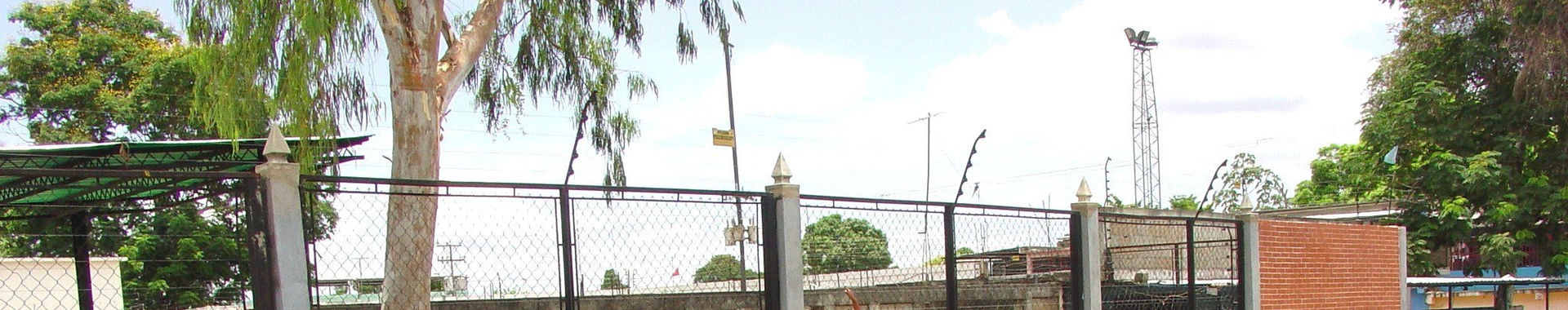 Imagen de portada