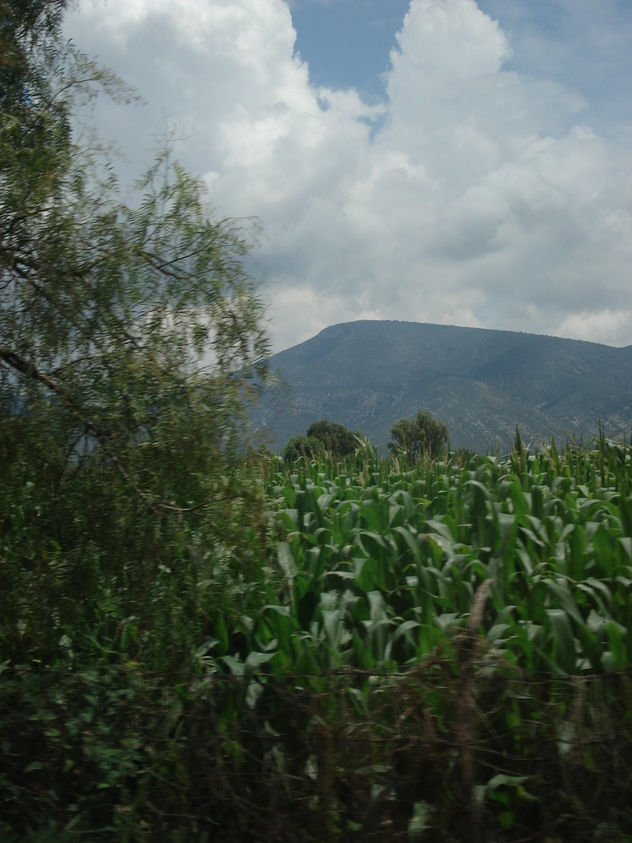 a la orilla de mi andar
