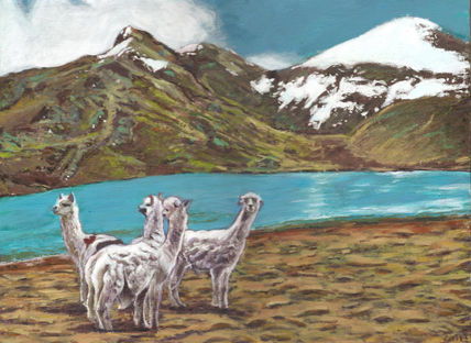 Llamas con fondo...