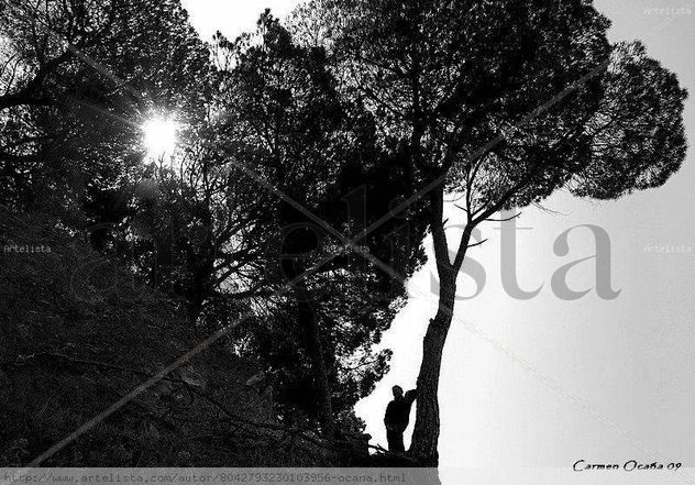 Silueta