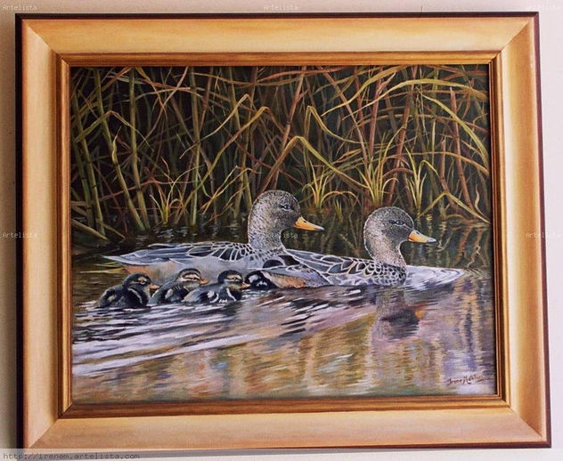 PATOS SILVESTRES