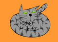 Gato