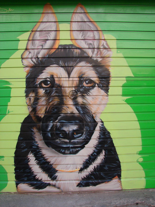 perrita