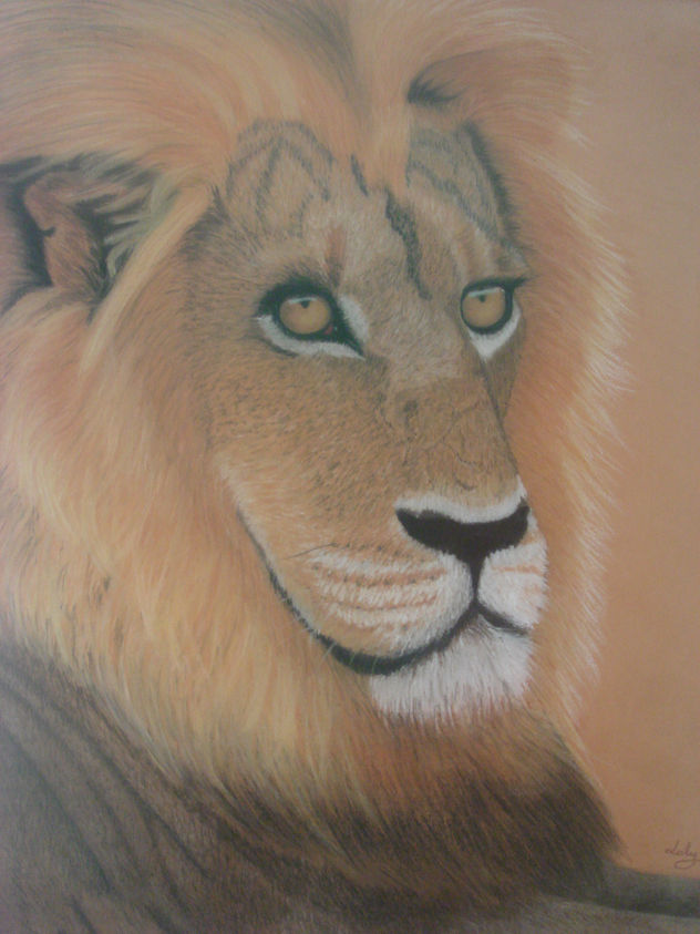 león
