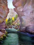 Naturaleza 1