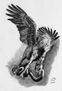 Pegasus