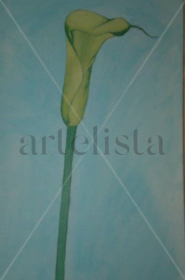 Cala3 Oil Canvas Floral Painting