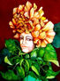 Amapola