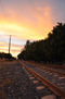 Train Tracks Sunset view