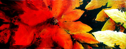 ''otonal 5''