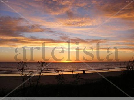 San luis 209