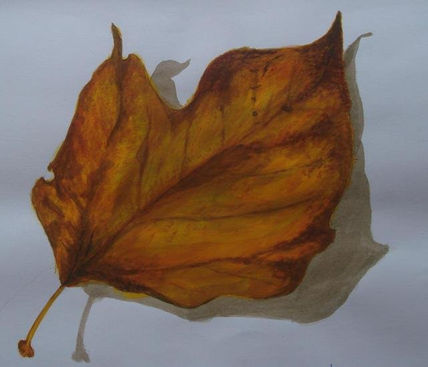 Hoja haya color