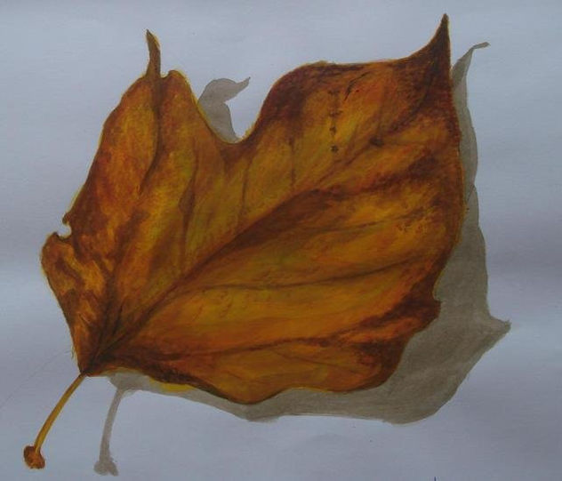 hoja haya color