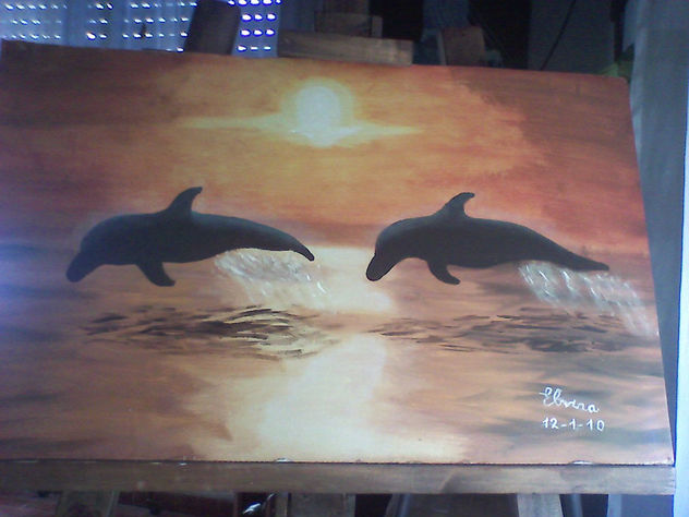 Delfines jugando al atardecer