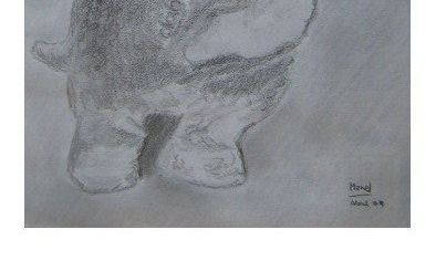 M dibujos