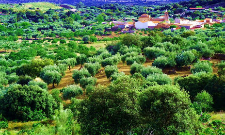Montánchez