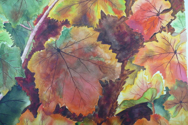 Hojas de maple Watercolour Paper Landscaping