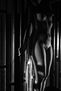 desnudo