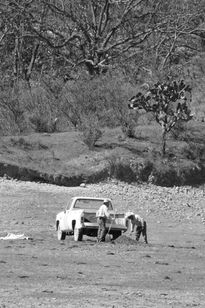 La vida en el campo