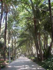 Parque de Málaga-I