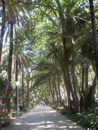 Parque de Málaga-I 