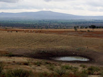 "Ojo de agua"