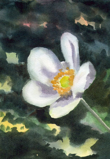 ANÉMONA Watercolour Paper Floral Painting