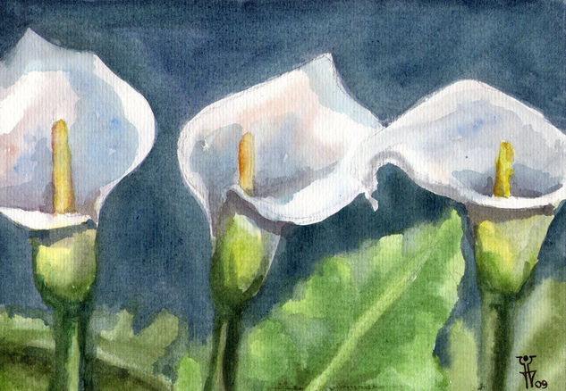 CALAS Watercolour Paper Floral Painting