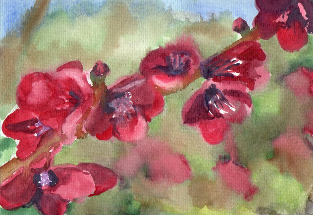 MEMBRILLO DE FLOR