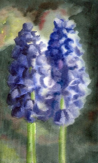 MUSCARI Watercolour Paper Floral Painting