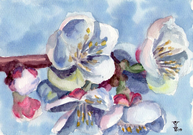 PRUNUS Watercolour Paper Floral Painting