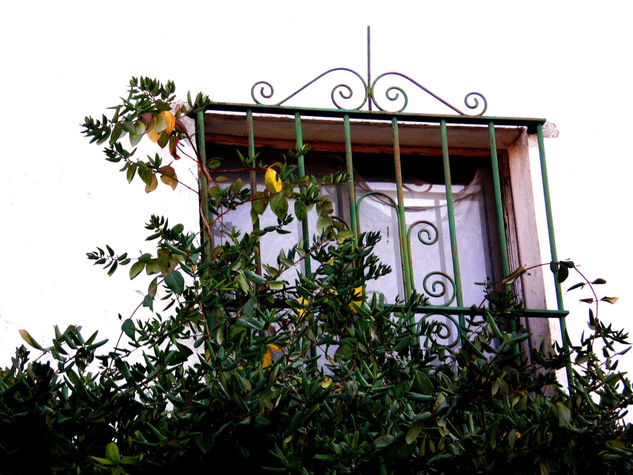 VENTANA Arquitectura e interiorismo Color (Digital)