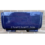 macetas bonsai thumbnail 1