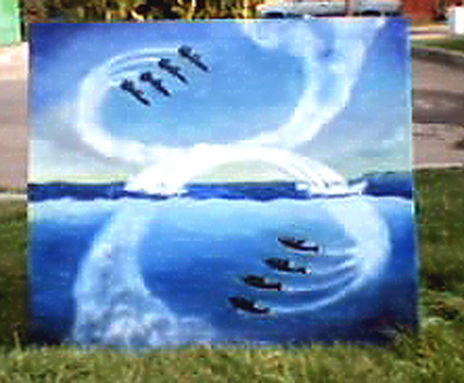 Aviones Delfines