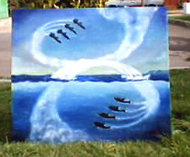 Aviones Delfines Oil Canvas Marine Painting