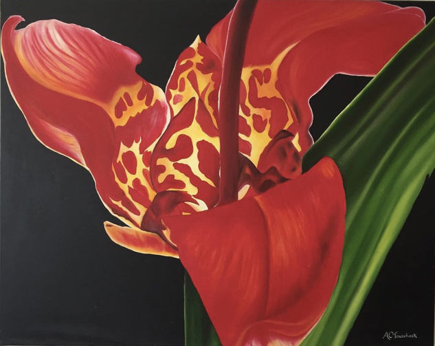 Pasión Oil Canvas Floral Painting