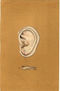 Delirio/contains copyright