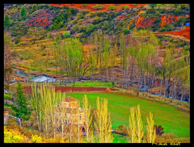 Campos Brihuega Viajes Color (Digital)