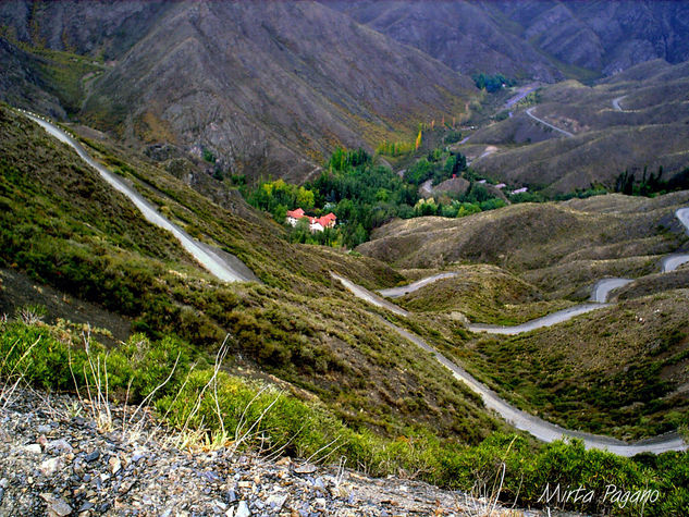 Por los caminos de la vida Naturaleza Color (Digital)