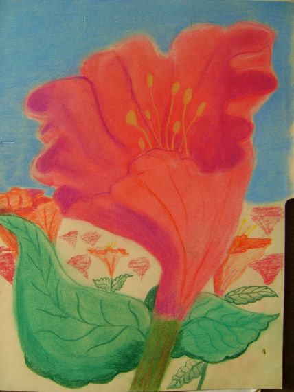 Flores 1