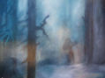 bosque encantado