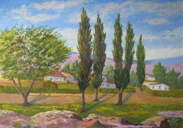 Cabalango Oil Canvas Landscaping