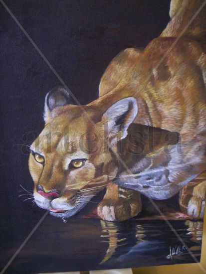 Puma Oil Canvas Animals