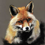 Fauna thumbnail 1