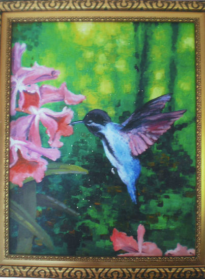 colibri 