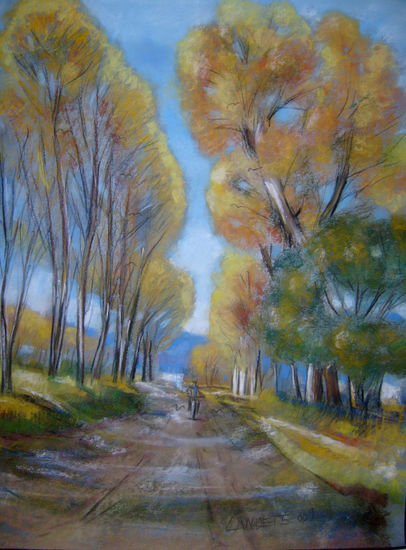 Camino, Villa 25 de Mayo Pastel Paper Landscaping