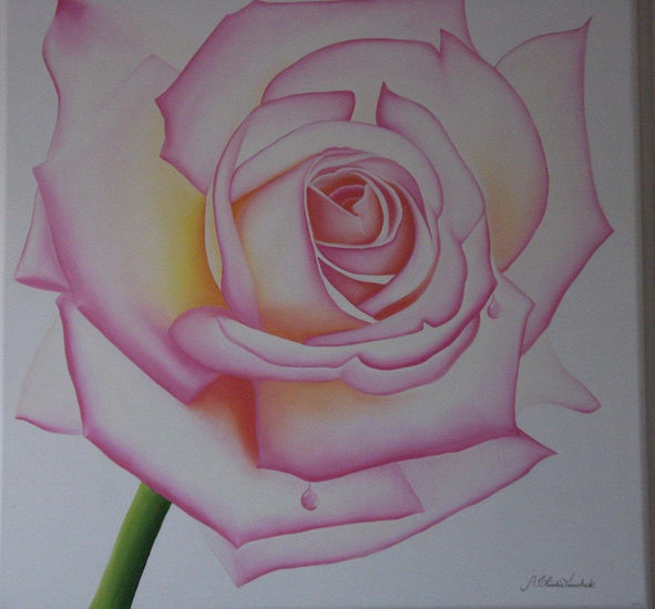 Rosa Oil Canvas Floral Painting