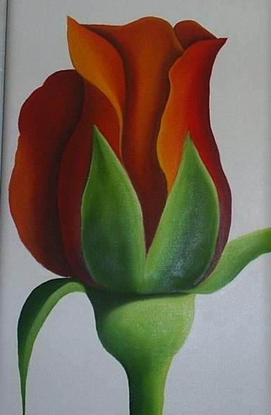 Rosa