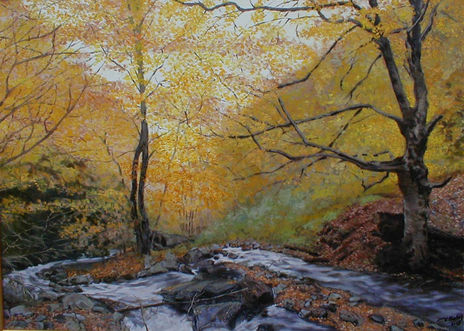Bosque en otoño