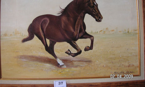 Animales